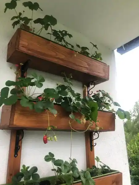 Stara Chata — praca Aliaksandra Kurbana